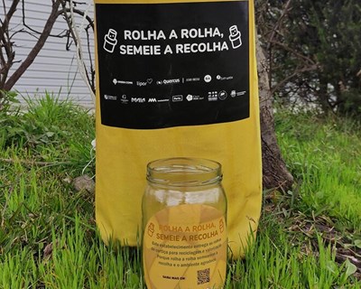 Rolha a Rolha continua a semear a recolha
