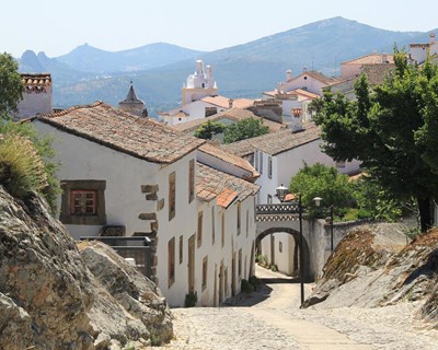 "Rural Move" dinamiza comunidades locais e incentiva à mudança para zonas rurais