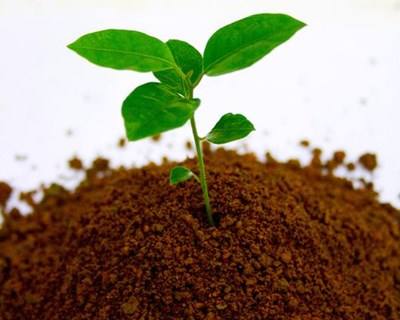 Santarém acolhe II Simpósio Nacional de Fertilização e Ambiente