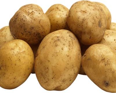 Santarém acolhe V Jornadas Técnicas da Batata