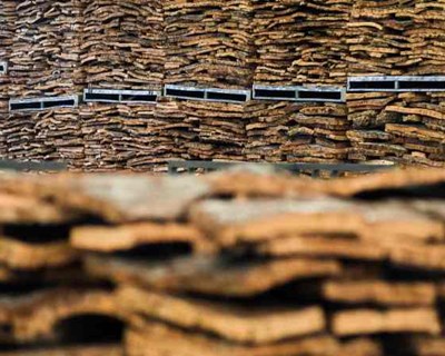 Santarém recebe seminário anual da fileira da cortiça