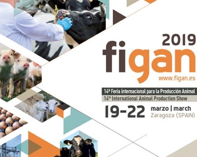 Saragoça: FIGAN acontece em março de 2019