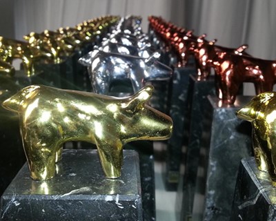 Segóvia acolhe Porc D