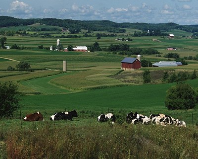 Semana da Visão Rural antevê futuro das áreas rurais da Europa