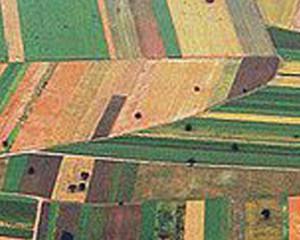 Seminário: “Angola, Pequena Agricultura e Desenvolvimento Rural”