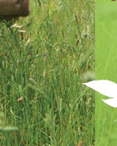 Seminário: “Avaliação Ambiental da Agricultura”