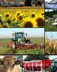 Seminário: Desafios e Oportunidades da Agroindústria