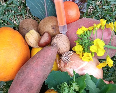 Será a agricultura biológica uma estratégia sustentável de promoção da saúde pública?