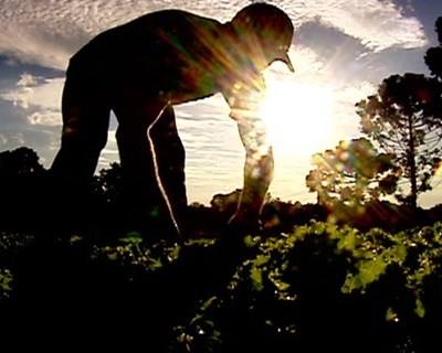 Confagri promove Ação de Sensibilização sobre Cancro da Pele na População Agrícola
