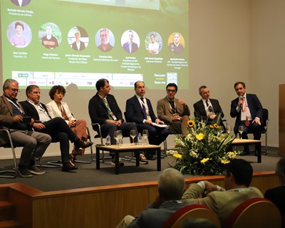 Setor Nacional do Azeite em evolução acelerada para aumentar produção e conquistar novos mercados