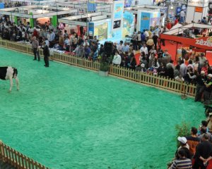 Setores da Carne e Leite em destaque na AgroBraga