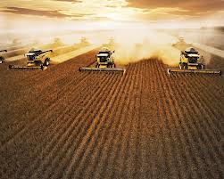 Soja: Agricultores plantam superfície recorde nos EUA