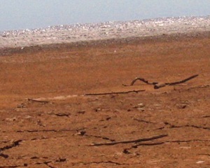 Solo Agrícola: 4 fatores que causam degradação