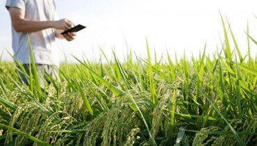 Startups e a revolução agrícola mundial