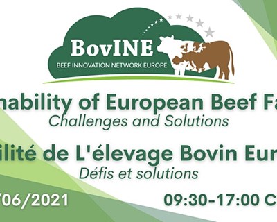 Sustentabilidade da pecuária bovina na Europa: Desafios e Soluções