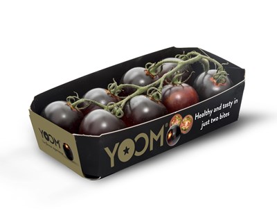 Syngenta apresenta novidades no portfólio de sementes hortícolas na Fruit Logistica 2020