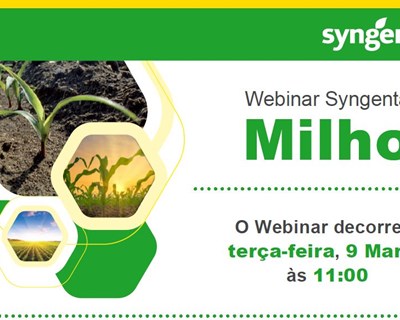 Syngenta apresenta soluções inovadoras para controlo de infestantes na cultura do milho em webinar