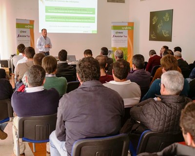 Syngenta apresenta soluções sustentáveis para proteção da cultura do arroz