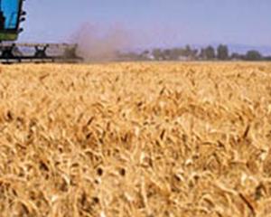 Syngenta compra empresa italiana produtora de trigo duro