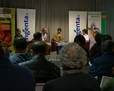 Syngenta lança Carial Top: o novo fungicida para proteção das culturas do tomate e da batata