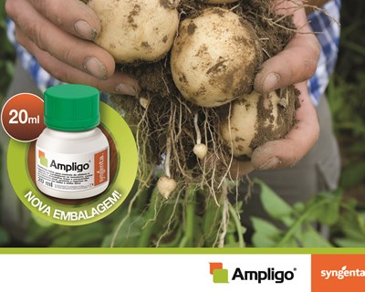 Syngenta lança nova embalagem de 20 ml do inseticida AMPLIGO