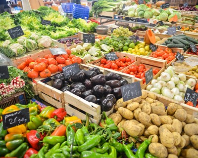 TAGUS abre candidaturas para cadeias curtas e prolonga pequenos investimentos na agricultura
