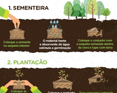 TecnifertiBio lança HUMIGEL B - fertilizante biológico para Floresta
