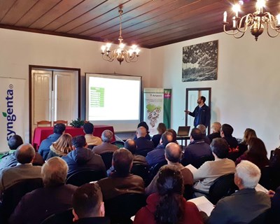 Tecnologia Syngenta eficaz na proteção das vinhas na Região dos Vinhos Verdes