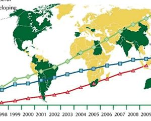 Transgénicos: Países em desenvolvimento cultivam mais do que industrializados