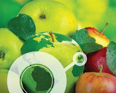 Transitex marca presença na Fruit Attraction 2019