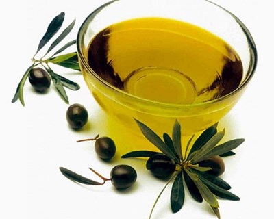 Tunísia quer plantar 50 mil hectares de oliveiras por ano