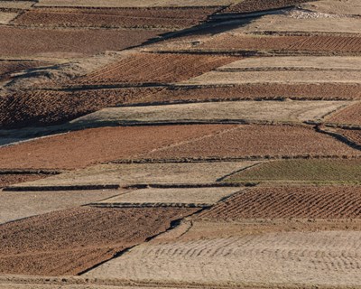 UE: 300 mil pessoas abandonaram em 2016 o setor agrícola