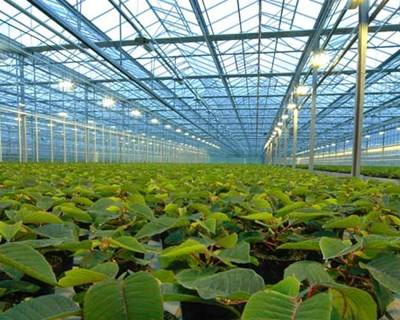 Évora acolhe Greensys2015: simpósio de Tecnologias e Gestão da Produção em Estufa