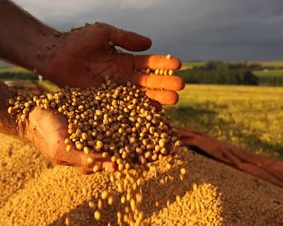 UE atualiza Guia de Boas Práticas de Higiene para Cereais