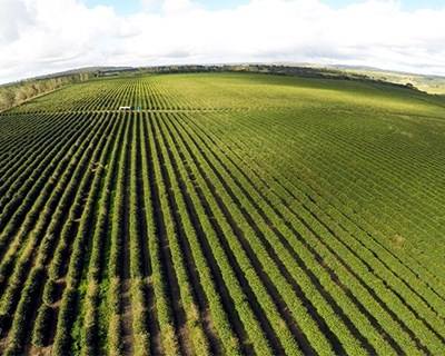 UE diz "sim" aos drones na agricultura, mas com segurança