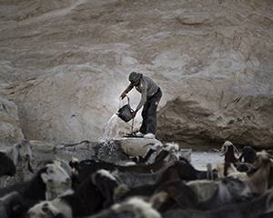 UE e FAO: 10 anos de trabalho conjunto na agricultura e segurança alimentar