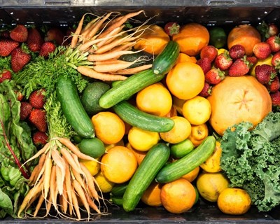 UE: há "luz verde" à proposta de agricultura biológica