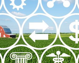 UE: Previsões otimistas para cereais, carne e leite