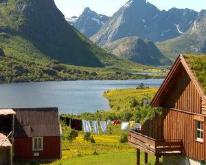 Um ano de prisão para suinicultor norueguês por negligência animal