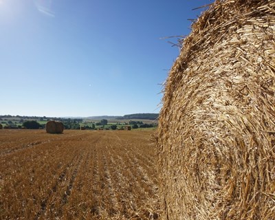 Um milhão de euros para a agricultura de Lousã, Miranda e Poiares