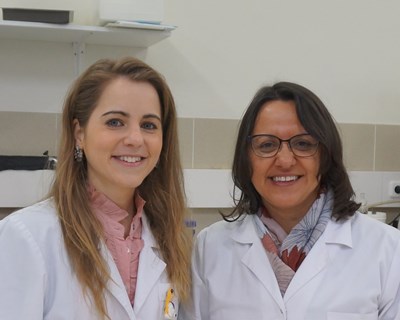 Um novo contributo para a bioeconomia