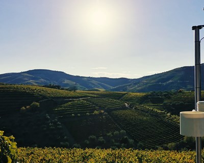 Um setor agrícola mais JANOTA