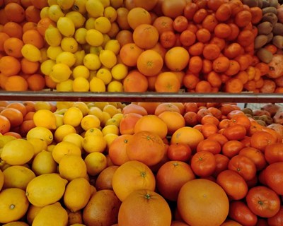 União Europeia estabelece proibição temporária de importação de limão e laranja da Argentina