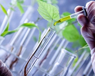 Universidade Nova estuda projeto que pode fixar investigadores e cientistas em Elvas