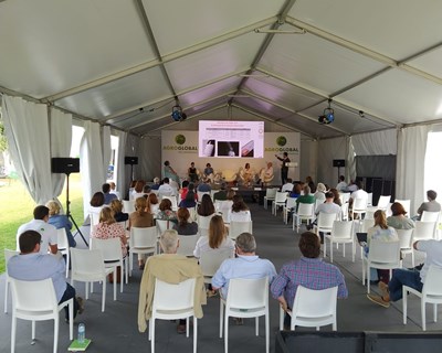 Os colóquios realizados na Agroglobal estão disponíveis para ver ou rever