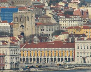 Vinha Plantada e Vinho Produzido no Centro de Lisboa
