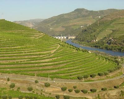 Vinho do Porto: Acordo entre Produção e Comércio