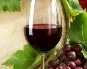 Vinho: Produção de 100 milhões de litros no Alentejo