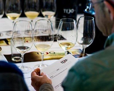 Vinhos do Tejo apostam na 3.ª edição da iniciativa "Tejo Academia"
