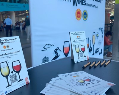Vinhos portugueses e espanhóis em campanha conjunta para turistas